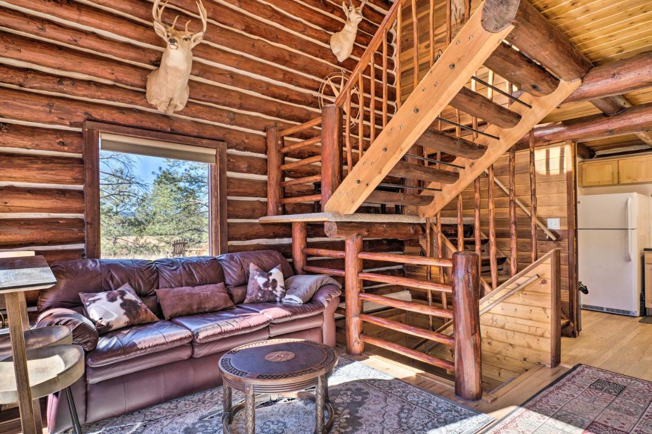 Classic Colorado Log Home With Mountain Views! Florissant Dış mekan fotoğraf